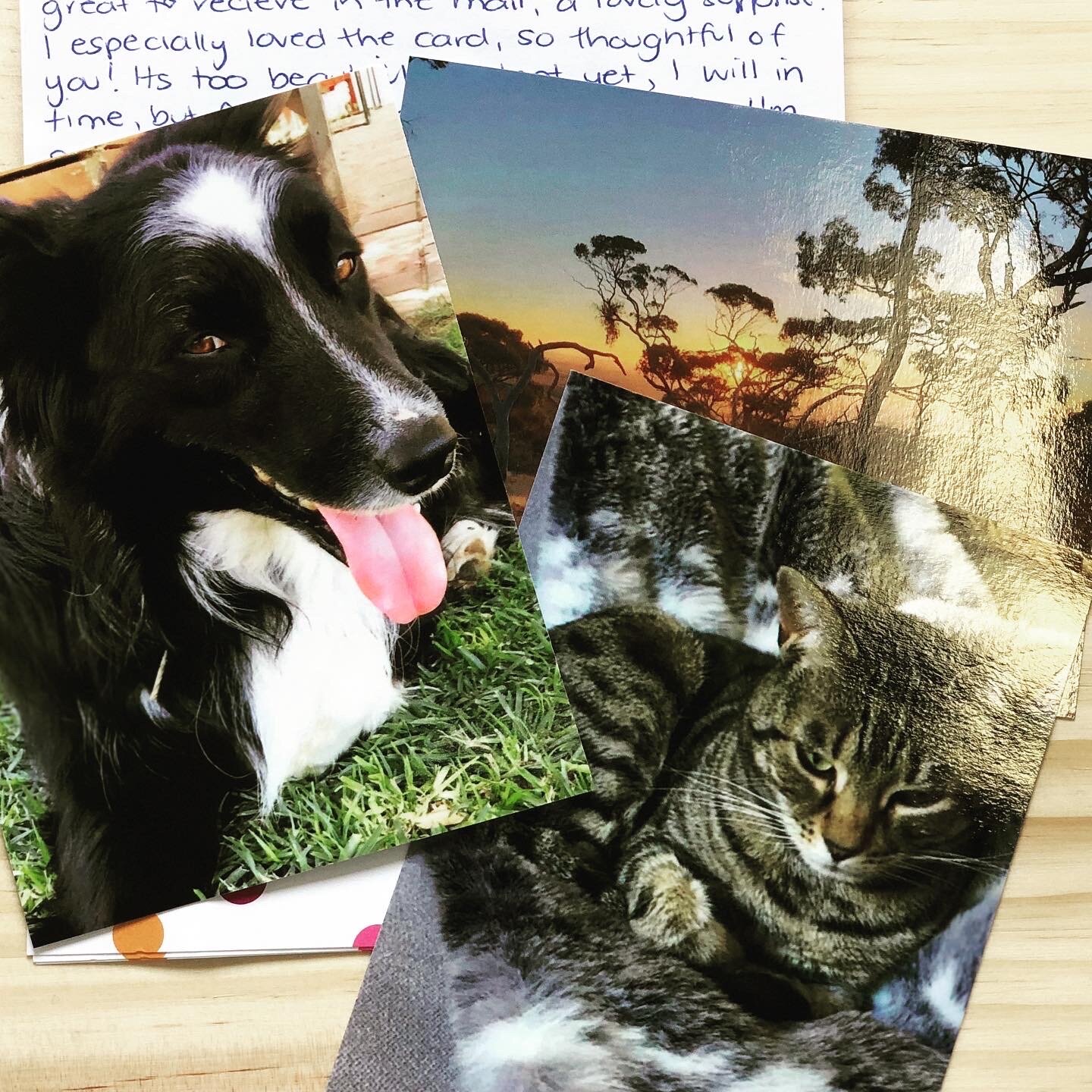 Photographs and a letter in the post